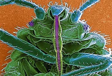 《节奏光剑》Skrillex曲包上线 8首歌曲合集仅售60元